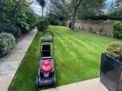 Lea-Valley-Garden-Services-Background-Landscape-Shot-Lawn-Care-Example-Optimised Lea-Valley-Garden-Services-Background-Landscape-Shot-Lawn-Care-Example