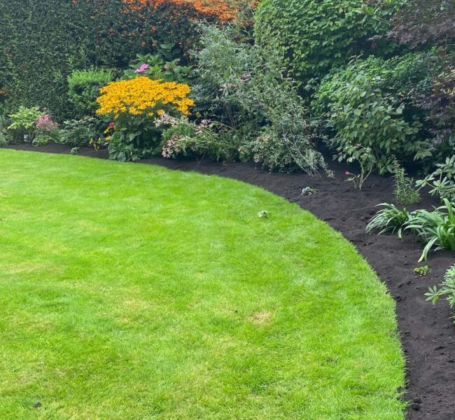 Lea-Valley-Garden-Services-Featured-Landscape-Shot-Lawn-and-Plant-Beds-Example-Optimised