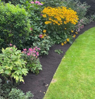 Lea-Valley-Garden-Services-Featured-Portrain-Shot-Lawn-and-Hedge-Pruning-Optimised