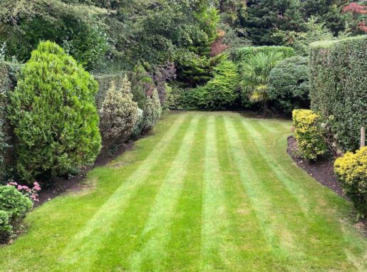 Lea-Valley-Garden-Services-Lawn-and-Hedge-Pruning Lea-Valley-Garden-Services-Lawn-and-Hedge-Pruning