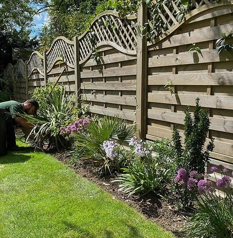 Lea-Valley-Garden-Services-Plant-Beds-Optimised