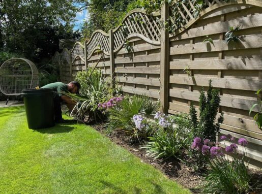 Lea-Valley-Garden-Services-Plant-Beds-Optimised Lea-Valley-Garden-Services-Plant-Beds-Optimised